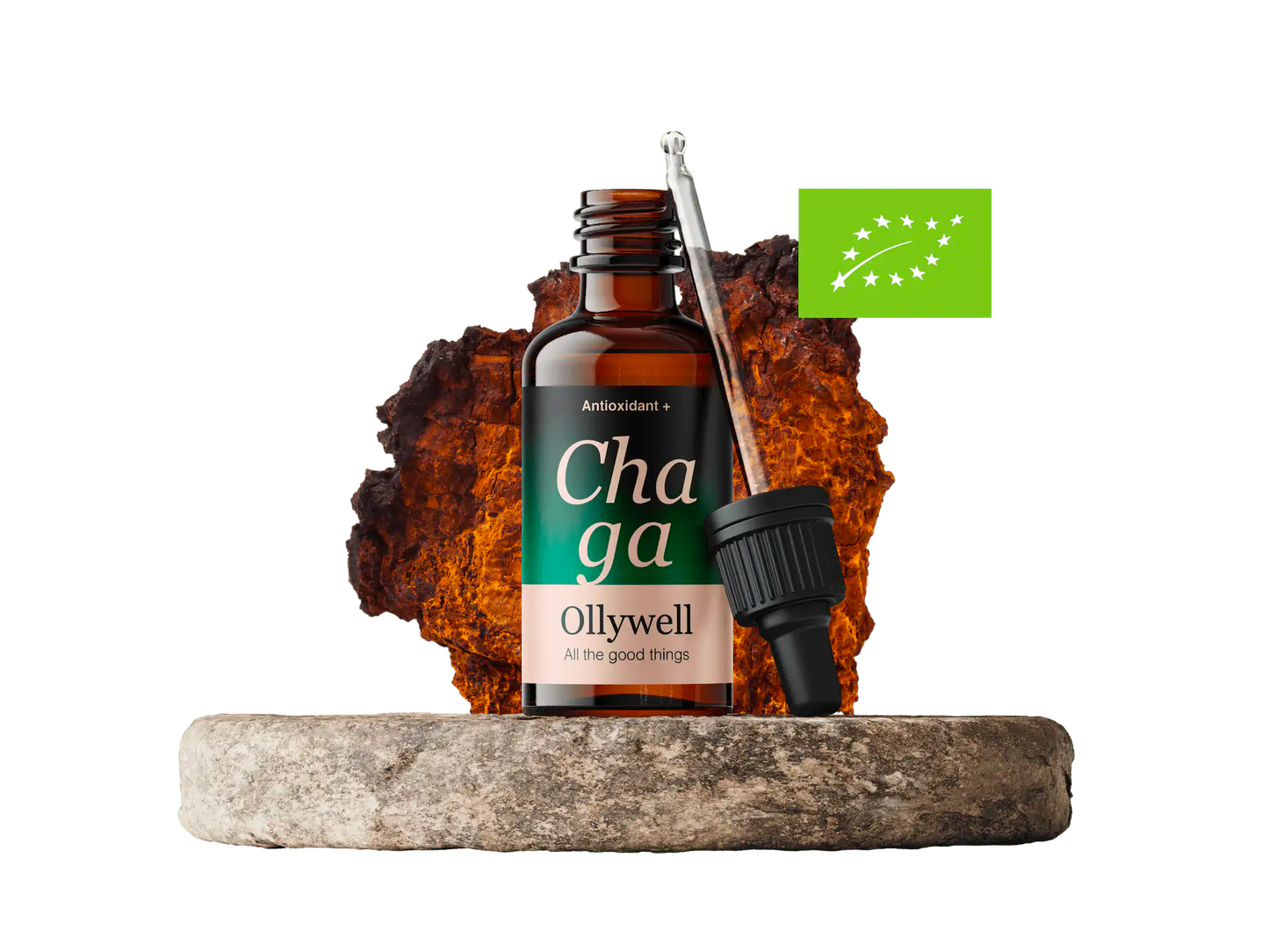 BIO Chaga: Antioxidans+