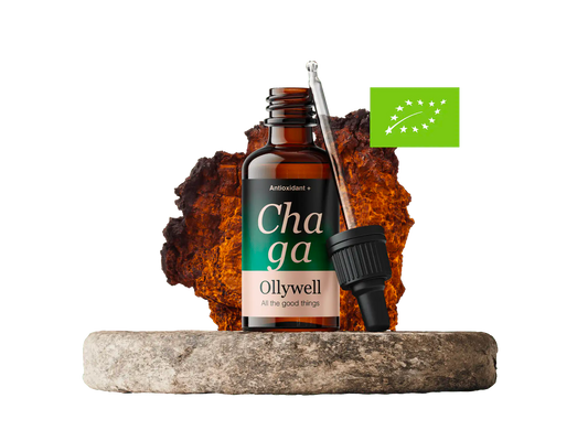 BIO Chaga: Antioxidans+