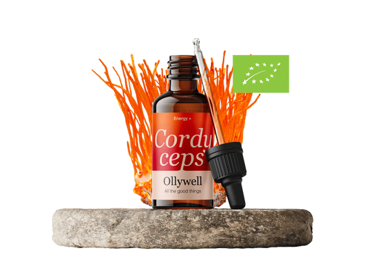 BIO Cordyceps: Energie+