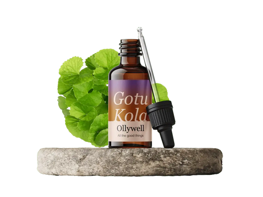 Gotu Kola: Erneuerung+