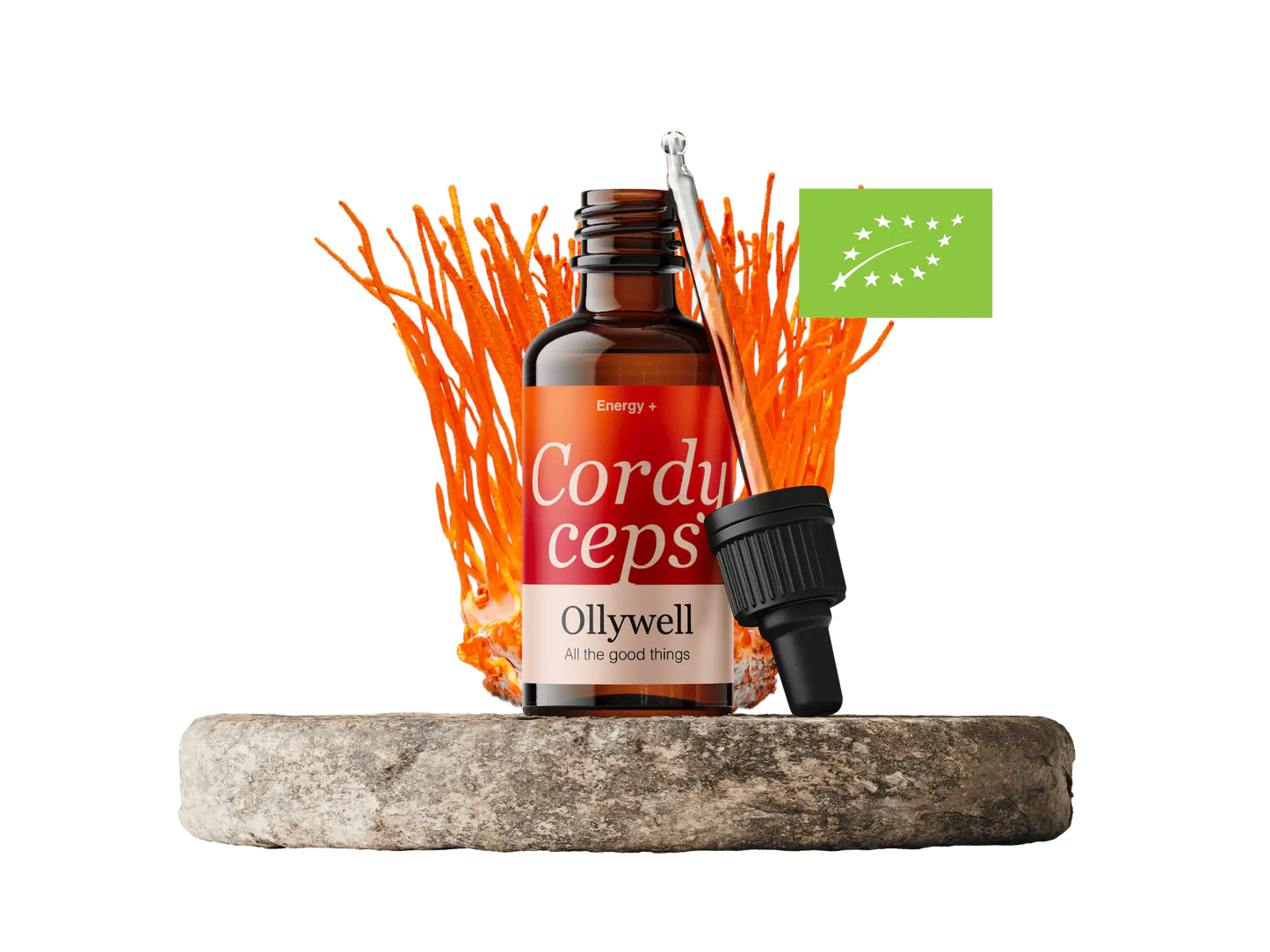 BIO Cordyceps: Energie+