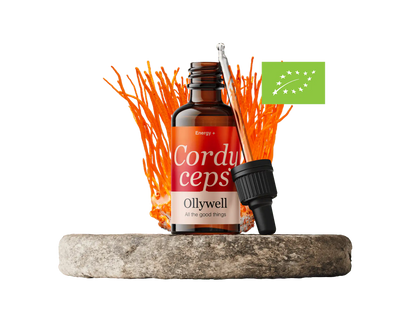 BIO Cordyceps: Energie+